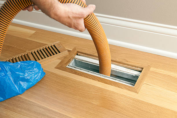 Best General Air Duct Cleaning  in Treasure Island, FL