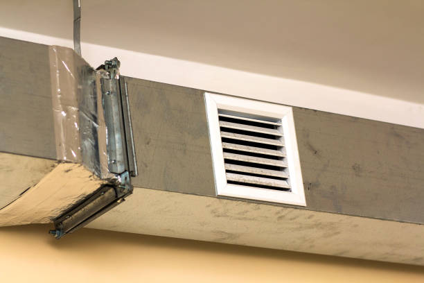 Best HVAC Duct Inspection Services  in Treasure Island, FL